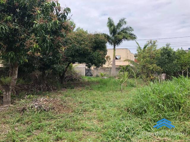 Área para Venda em Vila Velha - 4