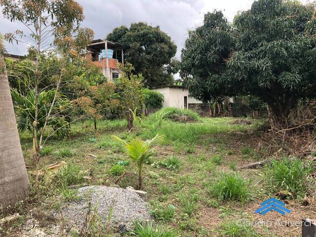 Área para Venda em Vila Velha - 5